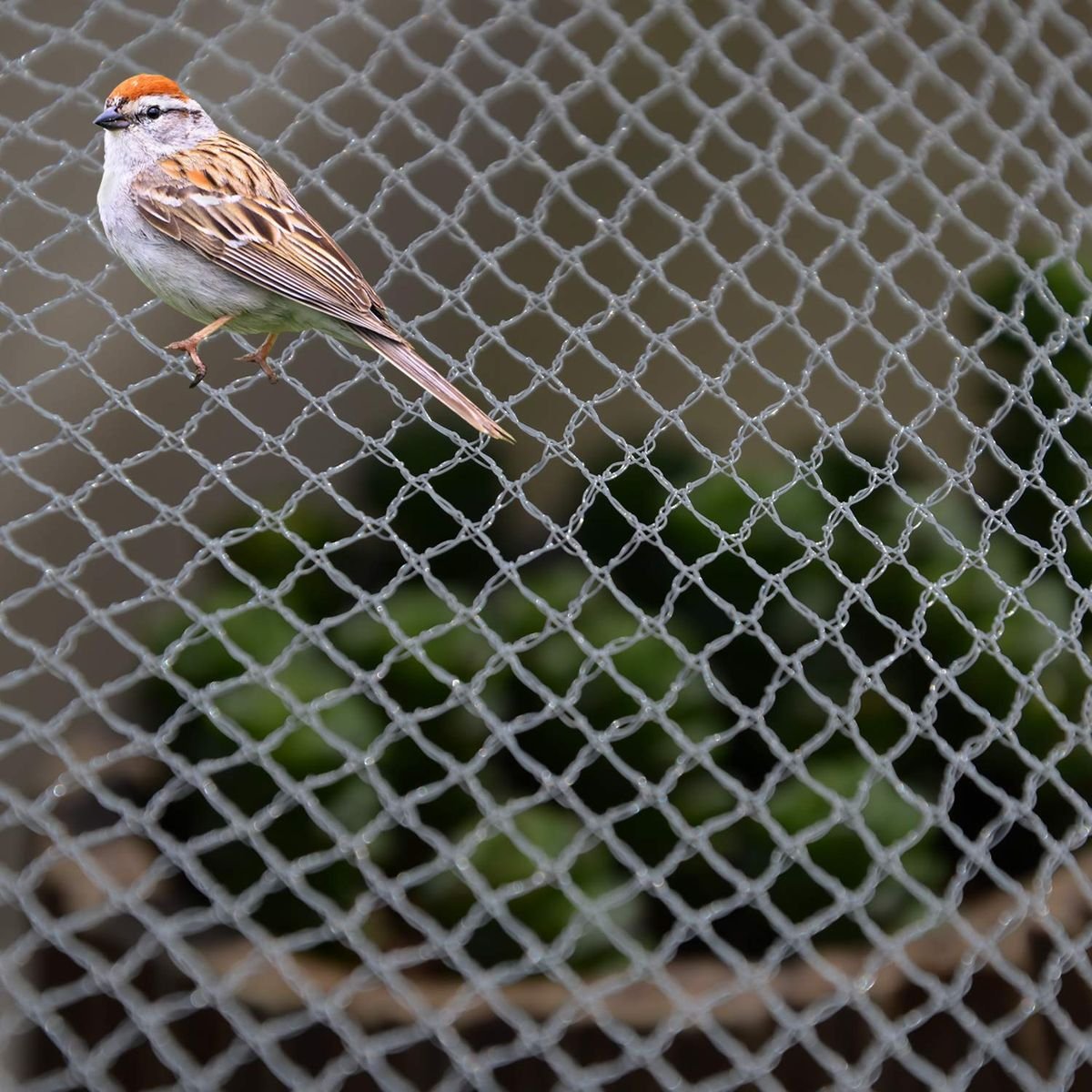 Bird nets on warehouse – bird exclusion, Shamshabad - JNS Safety Nets Hyderabad