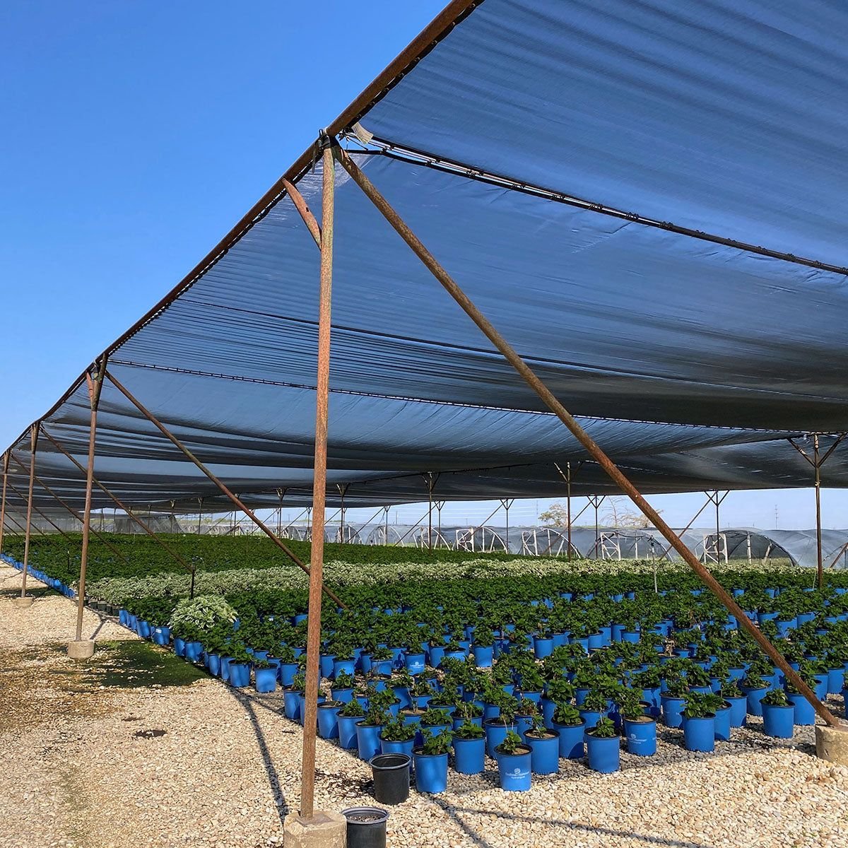 Shade net installation Hyderabad - JNS Safety Nets garden and parking